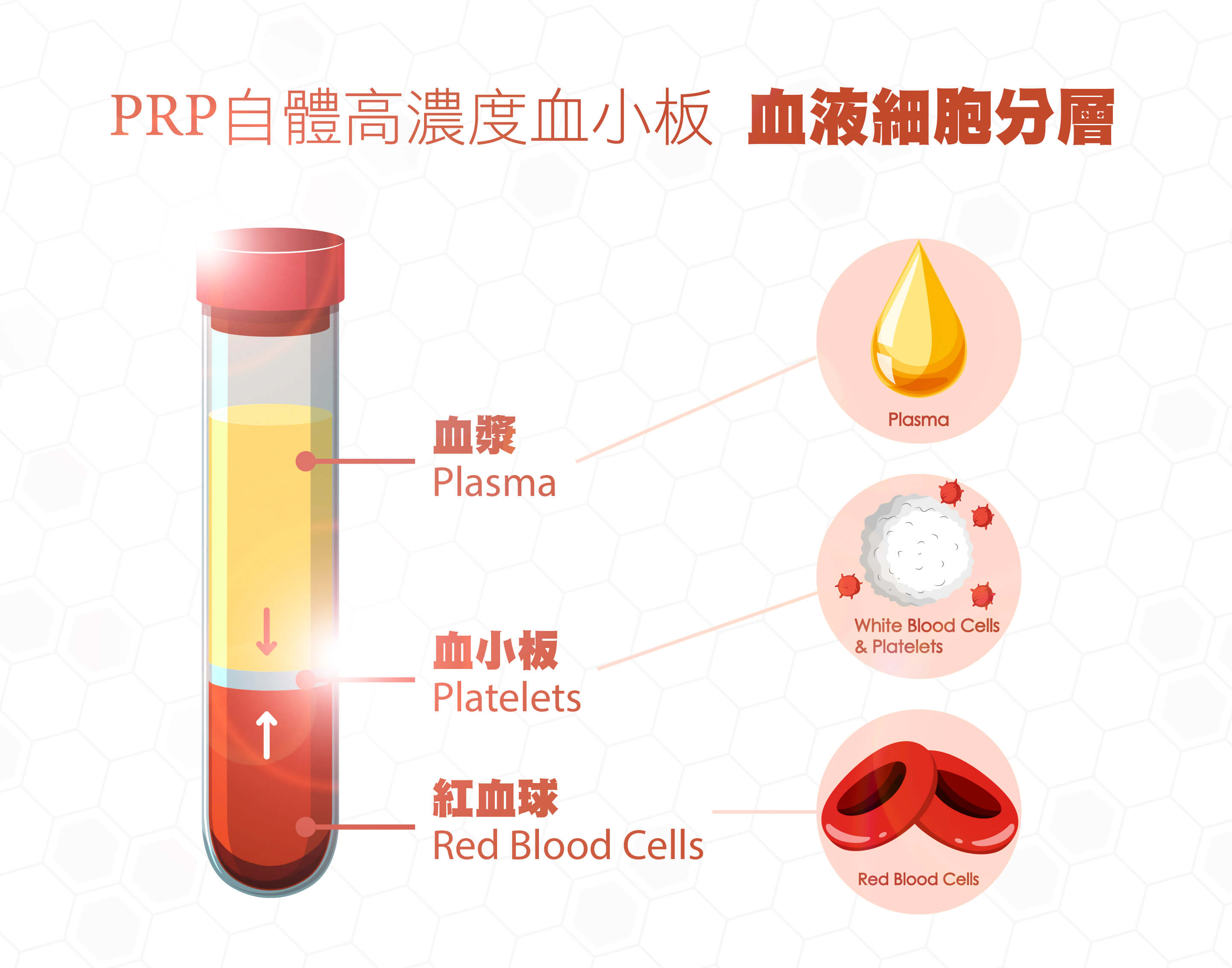 plasma)即是运用自体抽出的血液经由特殊纯化离心,将血液细胞成份分层