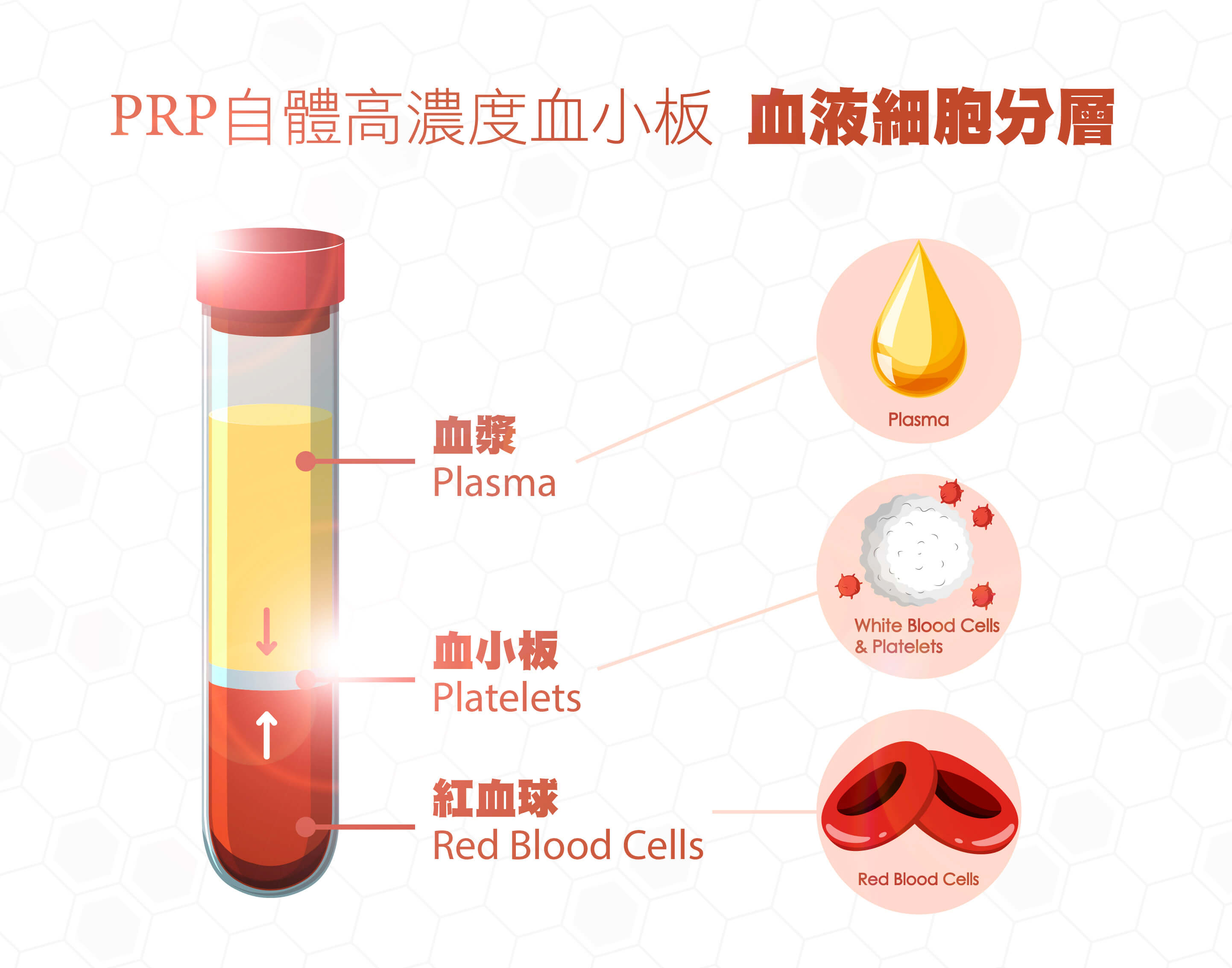 血小板高会对我们产生什么影响？ - 知乎